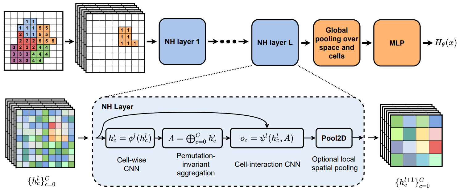 NeuralCPM simulation